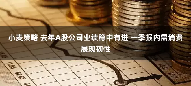 小麦策略 去年A股公司业绩稳中有进 一季报内需消费展现韧性