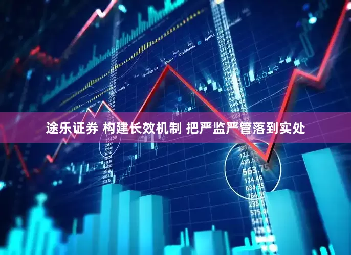 途乐证券 构建长效机制 把严监严管落到实处