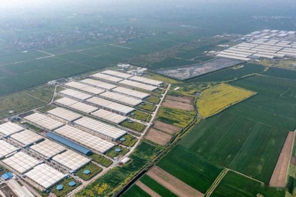 七星配资  70.4万头产能! 又一国企下场养猪, 国资正加速进入养猪业