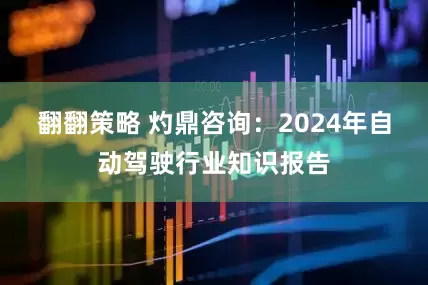 翻翻策略 灼鼎咨询：2024年自动驾驶行业知识报告